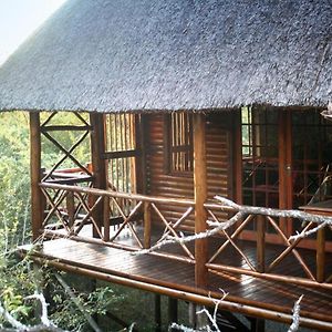 Lion Tree Bush Lodge